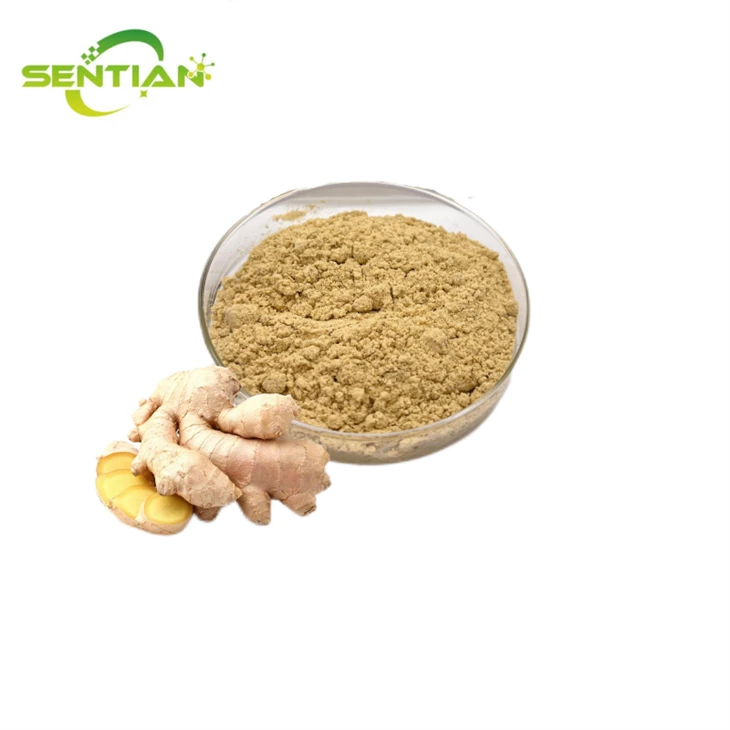 Bulk Ginger Powder