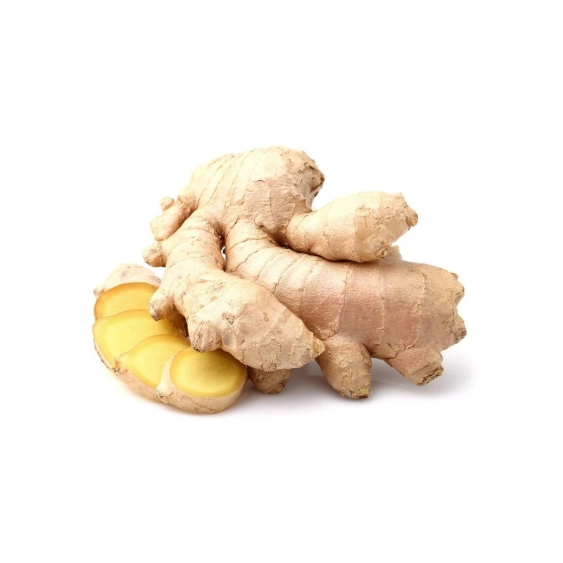 Ginger 1 Ginger 1