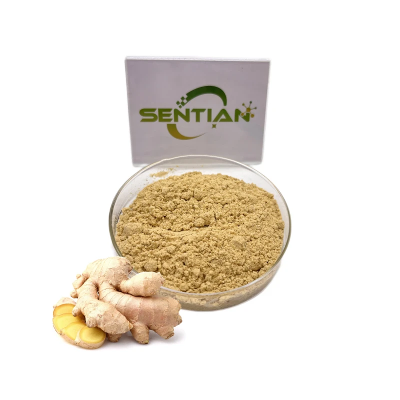 1 Ginger Powder 1 Ginger Powder