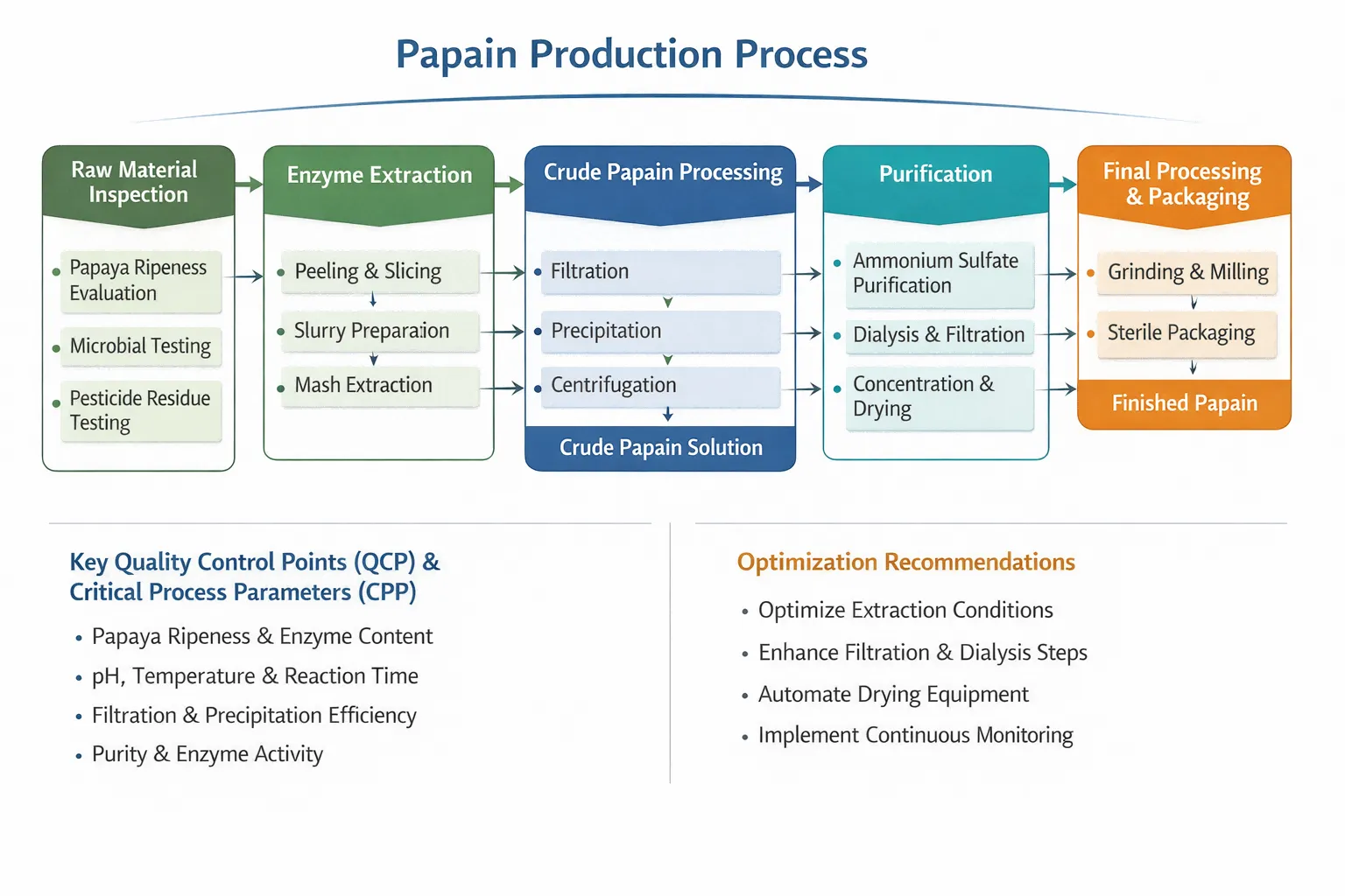 Papain Papain