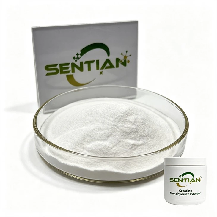 Bulk Creatine Monohydrate Powder