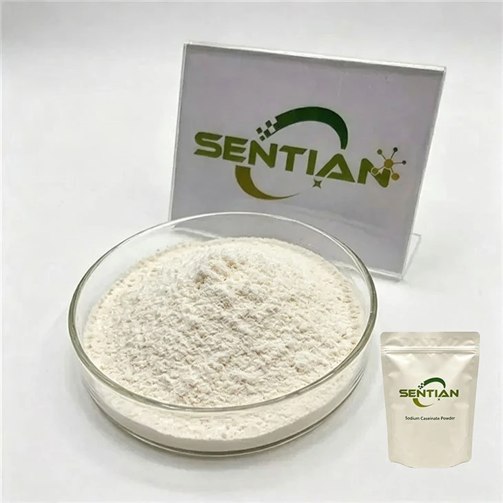 Pure Sodium Caseinate Powder