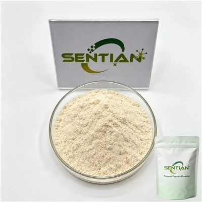 Protein Premix Powder