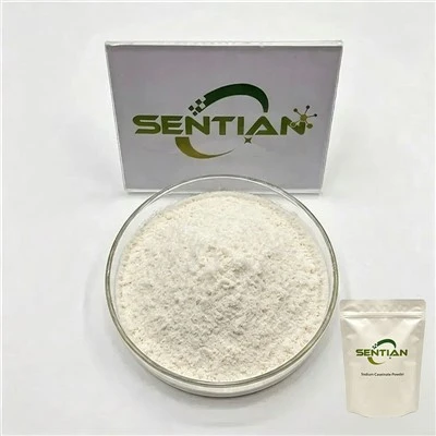 Sodium Caseinate Powder
