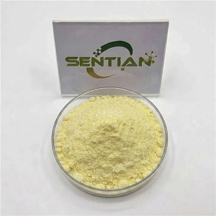 Sophora Japonica Extract Powder